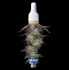 Product Preview Image 1
