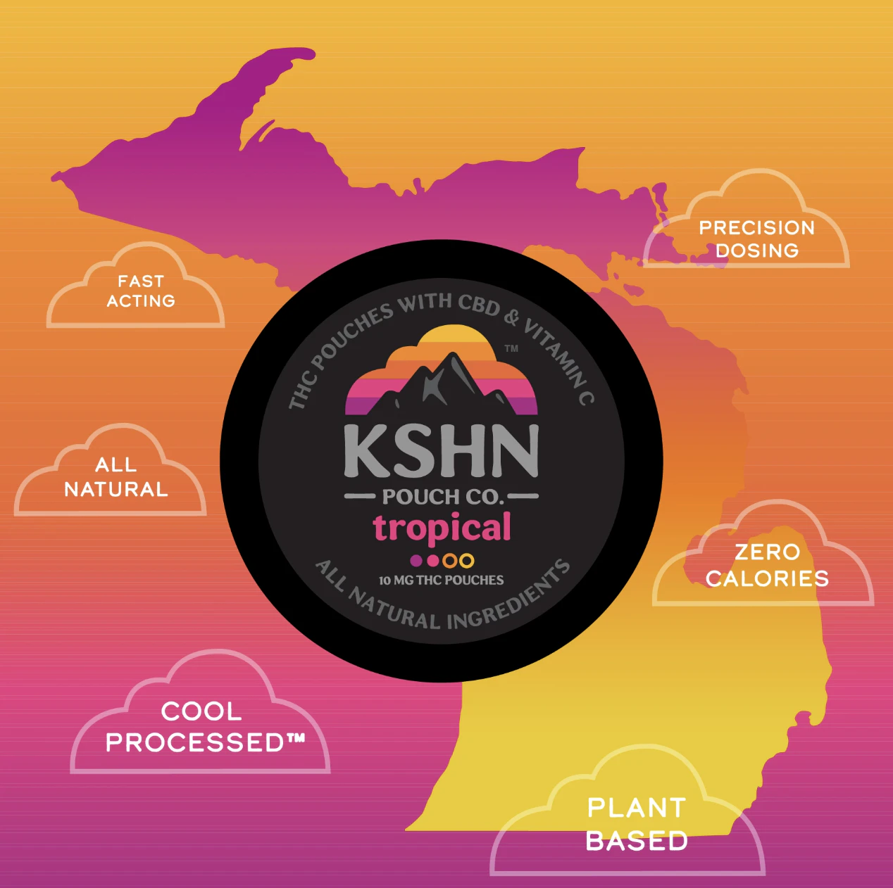 KSHN - Tropical THC Pouch | 10pack Main Image
