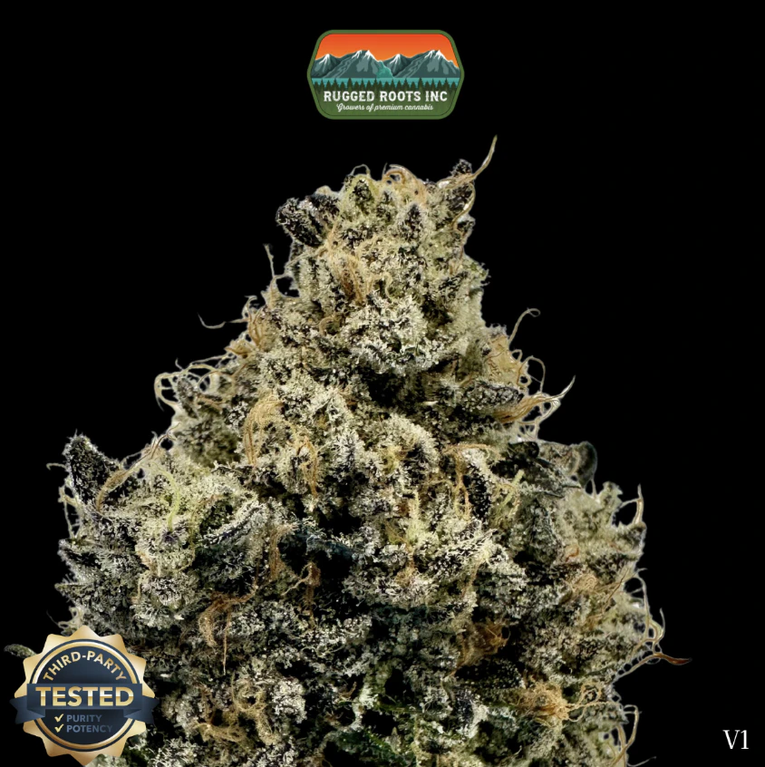 Rugged Roots - 1g Dime Bag | Permanent Belts Main Image
