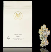 MAVEN 14G Orange Bellini Indoor Smalls Flower