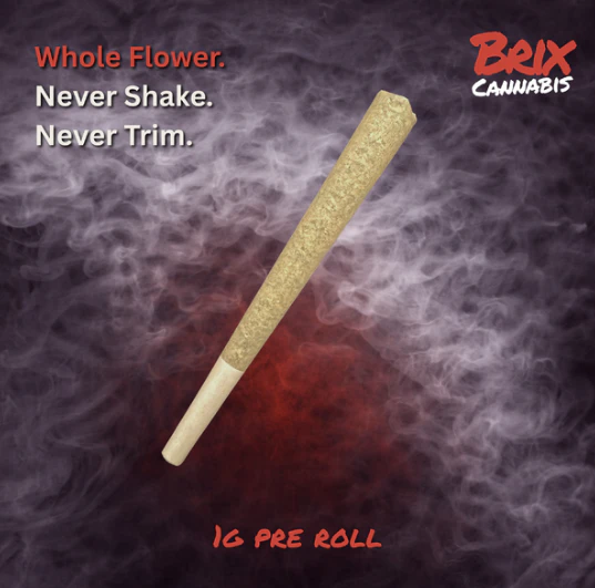 BRIX - Jungle Goo 1g Pre Roll (H) 00637 Main Image