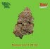 Product Preview Image 1