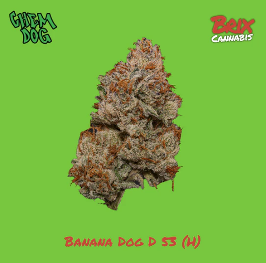 BRIX - Banana Dog D 53 Whole Flower 3.5g (H) 00691 Main Image