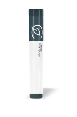 Grassroots - Grassroots Preroll 1g Single Thick Mints (I) 02050 Main Image