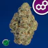 Product Preview Image 1