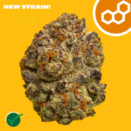 Theraplant - Pinyatti 3.5g 42176 Main Image