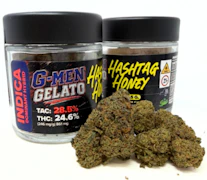 HASHTAG HONEY | G-Men Gelato | 3.5g Flower