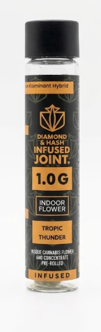 Dank By Definition - Tropic Thunder Infused 1G Pre Roll Main Image