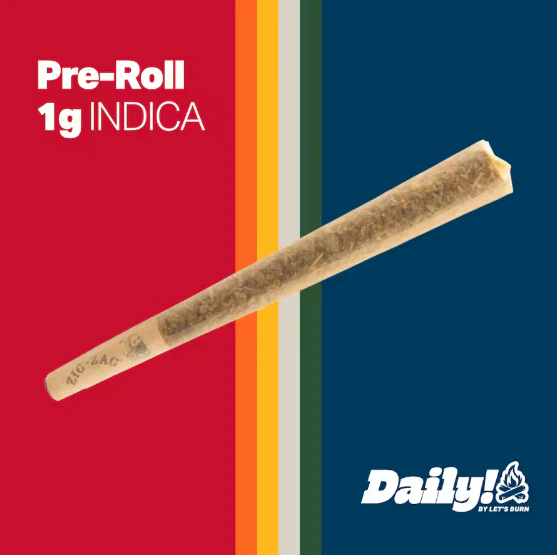 Daily! - Daily! Jam Session 1g Pre-roll 0141 Main Image