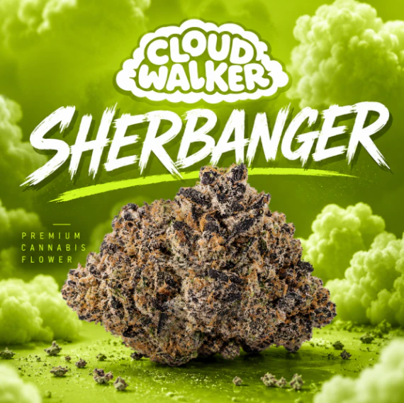 CLOUDWALKER - Cloud Walker Flower Sherbanger (H) 20031 Main Image