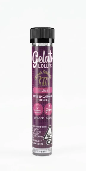 Gelato - Gelato - Lolli - Grand Daddy Purple - Infused Preroll - 1.2G Main Image