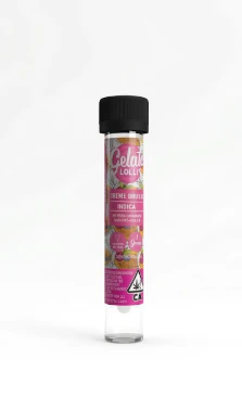 Gelato - Gelato - Lolli - Creme Brulee - Infused Preroll - 1.2g Main Image