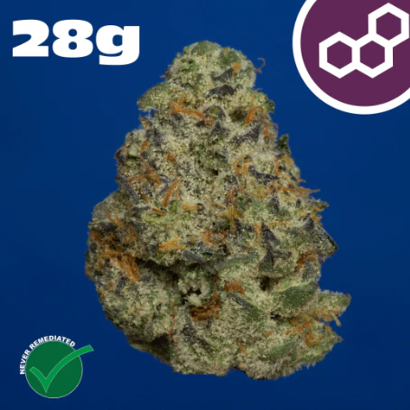 Theraplant - Plasma Gas 1oz 42175 Main Image