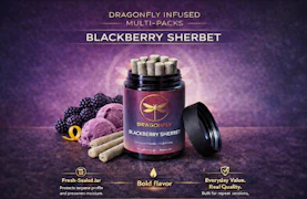 Dragonfly - Blackberry Sherbet - 10pk Infused