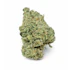 Product Preview Image 2