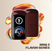 BRIQ 2 | Juicy Red Apple | 1G Flavor Series