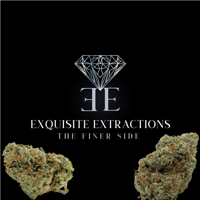 Exquisite Extractions - 3.5 - Mints 11 - EE Main Image