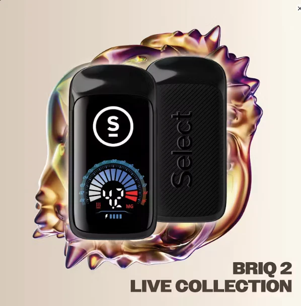 Select - Briq 2 Live | Kush Mintz Main Image