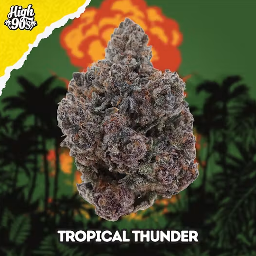 HIGH 90s: Tropical Thunder