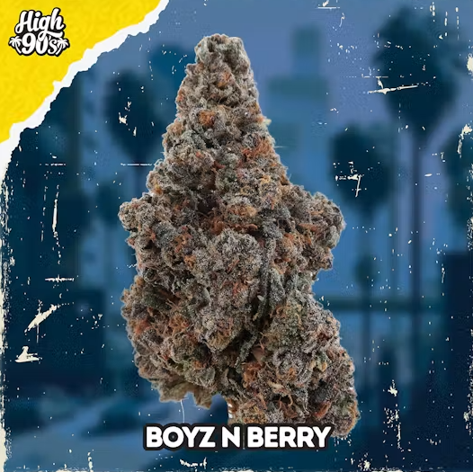 HIGH 90s: Boyz N Berry