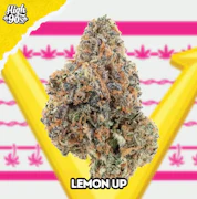 High 90's Smalls 7g Lemon Up