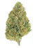 Product Preview Image 1