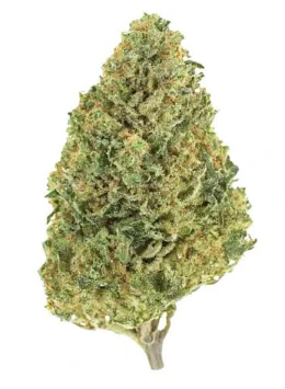 Grassroots - Grassroots Ground Flower 3.5g Golden Sands (I) 02092 Main Image