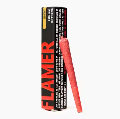 FLAMER - Flamer - Lobotomy - 0.75g Preroll Main Image