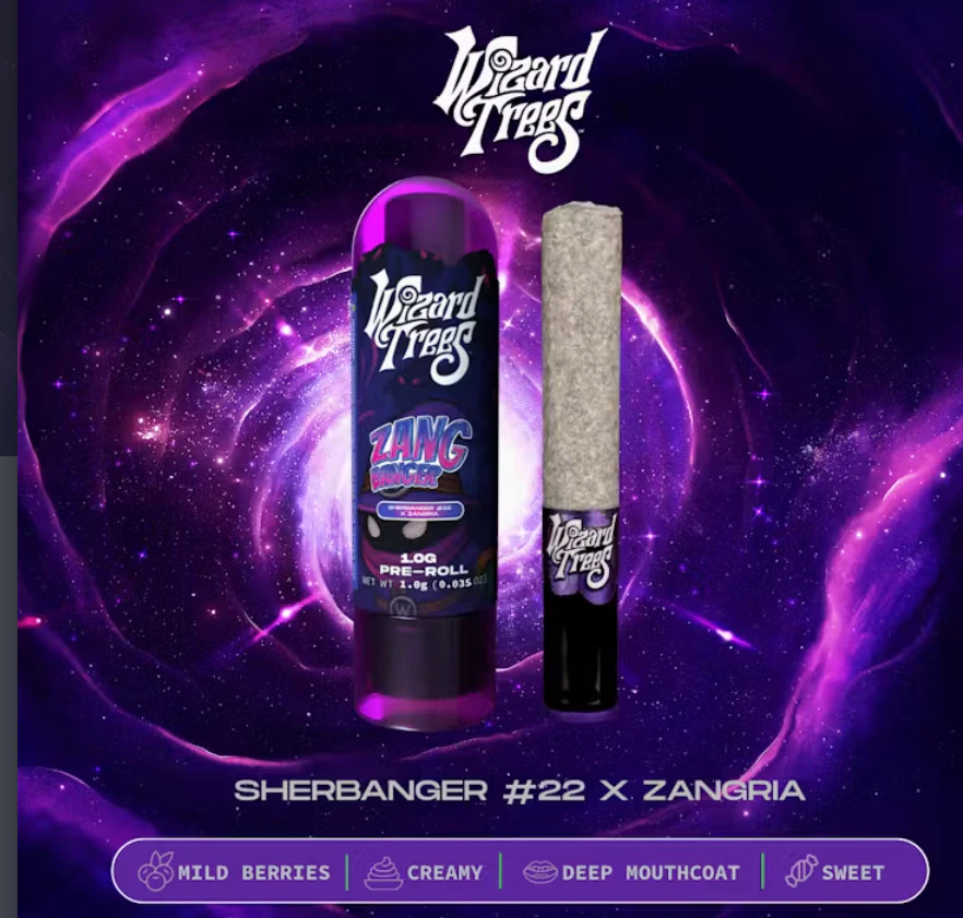 Wizard Trees - Wizard Trees | Zangbanger | 1G Main Image