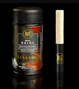  5pk - La La Land (Mini Halos) - 3g (SH) - Maven