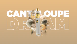 Cantaloupe Dream | 2g DIME Signature Line AIO Vape | TAX INCLD