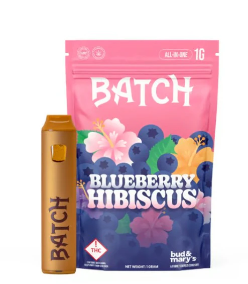 Batch - Blueberry Hibiscus All-In-One Disposable - 2g Main Image