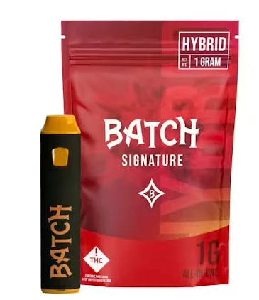 Batch - Tropical Storm All-In-One Disposable - 1g Main Image