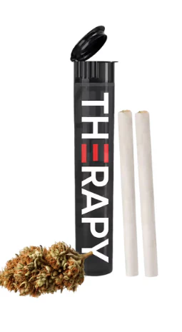 Therapy - Early Bird 2pk Infused Prerolls - Sativa | Therapy Main Image