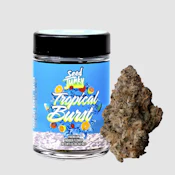 Seed Junky - 7g Bigs - Tropical Burst - Sativa