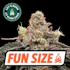 Product Preview Image 1