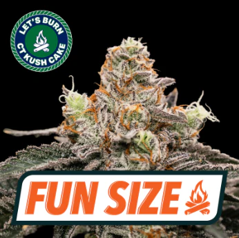 Let's Burn - Let's Burn CT Kush Cake 7g Fun Size Budz 0138 Main Image