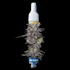 Product Preview Image 2