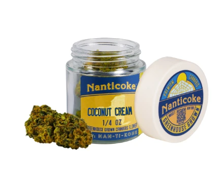Nanticoke - Coconut Cream 7g - Indica | Nanticoke Main Image