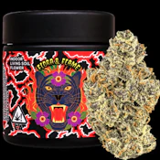 FLORA & FLAME 3.5G Pineapple Guava Indoor Flower