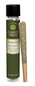 Jealousy 1G Pre Roll