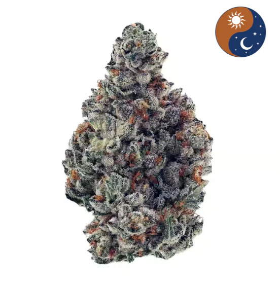 Aeterna - Aeterna Flower 3.5G - Garlic Runtz | F16 Main Image