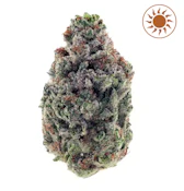 Aeterna Flower 3.5G - Jelly Rancher | F18