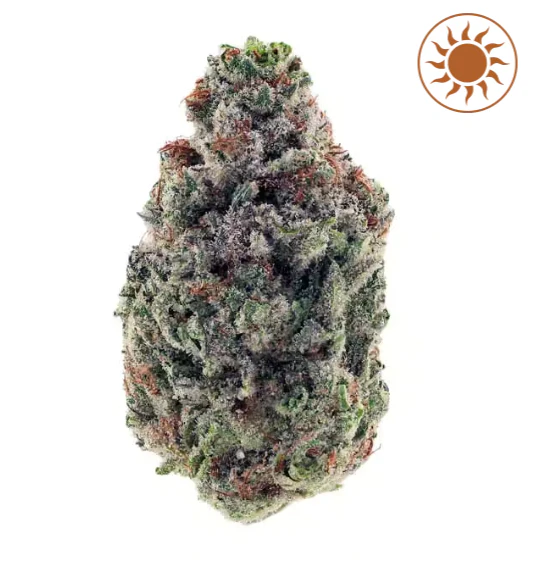 Aeterna - Aeterna Flower 3.5G - Jelly Rancher | F18 Main Image