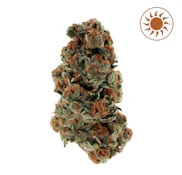 Aeterna Flower 3.5G - Lemon Haze | F19