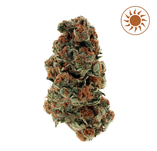 Aeterna - Aeterna Flower 3.5G - Lemon Haze | F19 Main Image