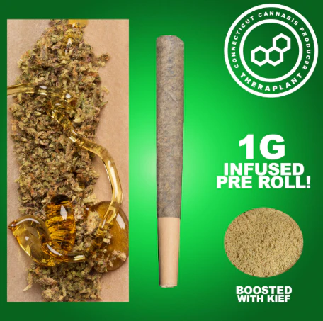Theraplant - Carbon G 1g Infused PR 42159 Main Image