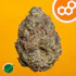 Product Preview Image 1