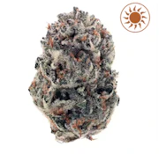 Aeterna Flower 3.5G - Frosted Zkittlez | F20