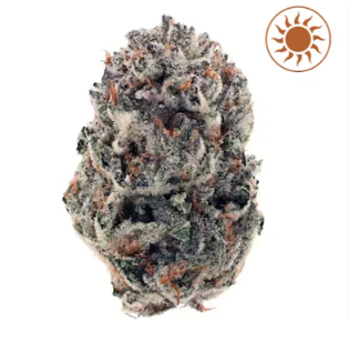 Aeterna - Aeterna Flower 3.5G - Frosted Zkittlez | F20 Main Image